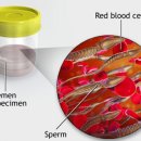 장산닥터남비뇨의학과의원 이미지