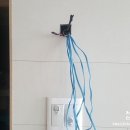 선경비디오 이미지