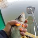 송말낚시터 이미지