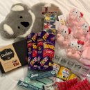 에코윤약국 | 호주 시드니여행 기념품 쇼핑리스트 선물 추천