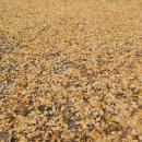 바쁜하루 이미지