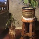 스노우즈 이미지