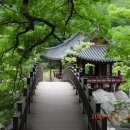 상용축사 | 화림동 계곡의 정자들. 거연정(居然亭), 영귀정