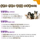 전북펫고등학교 이미지