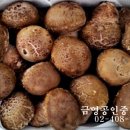 송하버섯마을 이미지