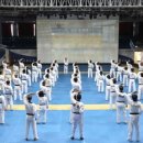 TB건강태권도 이미지