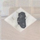 까미랑 몽이 | 화천 강아지분양 블랙탄포메라니안분양 전 필독! 솔직 후기