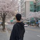 박순선본가평양면옥 | #8 맨날 최선을 다하지는 마라 피곤해서 못산다