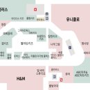 레이디하우스다이소