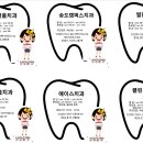 옥련서울치과의원 티스토리