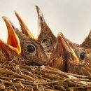 센바이오 이미지