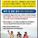 나로도연안여객선터미널 이미지