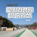 제일안전 | 충북 보은 고릴라캠핑인속리산 1박2일｜가족캠핑｜C존 두팀 전용 후기