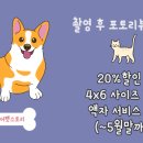 유어펫스토리 이미지