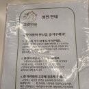 고양이숲 | <안산> 고양이숲 카페 후기, 초등 아이와 방문 (미취학아동 출입불가)