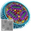 EN바이오 이미지