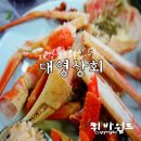 대영상회 이미지