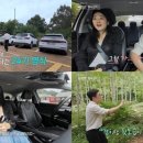 용담민박 이미지