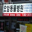 오암동물병원 네이버블로그