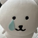 영영성형외과의원 | [공지] 압구정서울성형외과 비절개 쌍수 앞트임 한달 후기