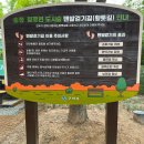 철로변녹지대 이미지