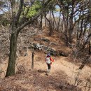 곡성-185 이미지