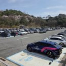 제천시문화회관 | 제천 청풍호 벚꽃축제 다녀 온 후기, 활짝 핀 벚꽃과 청풍호반케이블카 타고 비봉산 전망대까지~