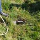 대산농장2 이미지