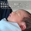 백색소음 꿀잠 메이트로 정착한 말랑하니 백색소음기 솔직후기