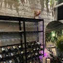 투셀러 | 반려견과 함께한 광교 저녁식사🍝 이탈리안 와인다이닝 ‘투섹션’ 솔직 후기