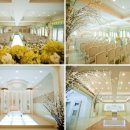 석전동274 이미지