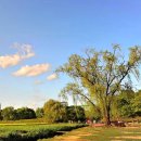 올바른짐 이미지