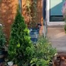 바위솔민박 이미지