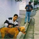 메이데이 이미지