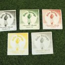 일반인우쿨렐레 이미지