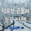 눈꽃 | 겨울철 눈꽃 산행 덕유산 곤돌라 이용 후기