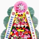 놀자7080라이브 Daum카페