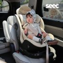 아이리스 | 시크 맥스 아이리스 프로 5개월 사용후기 장단점 내돈내산 할인팁