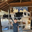 호진목장 이미지