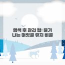 염색이야기 이미지