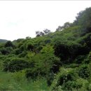 춘천지방법원 영월지원 이미지