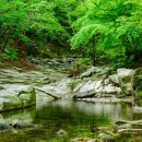 공주계곡캠핑 이미지