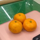 서광카프라자 | 12월이 절반도 안남았다니.. 좌절티비