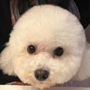 훌랄라참숯치킨불광2동점 이미지