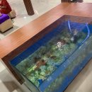 폴 닥터짐 | 강한 압이 시원한! 발리 사누르 마사지샵 닥터피쉬 있는 도나스파 : Donna Spa 가격 정보!