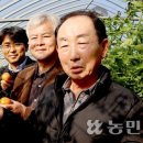 대저농협유통센터(APC) 이미지