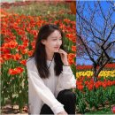 타이지 | 항저우 서호 여행 꽃놀이 명소 타이지완 공원