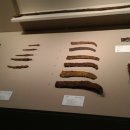 한성백제역 이미지