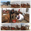 윤선농장 이미지