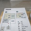 꽃지푸른솔펜션 | [태안여행 1박2일] 1일차(2) 국립 태안 해양유물전시관, 꽃지 해수욕장, 안면도 수산시장, 운여 해변